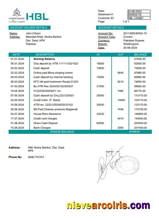 Pakistan Habib bank statement Word and PDF